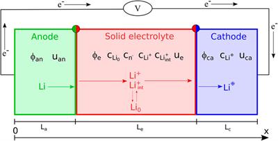 Electro-chemo-mechanics of solid state batteries with lithium plating and stripping